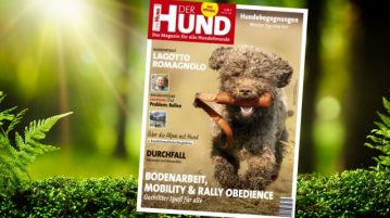 Lagotto Romagnolo, Cover DER HUND 9/19