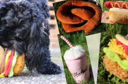Hundespielzeug in Fast-Food-Form