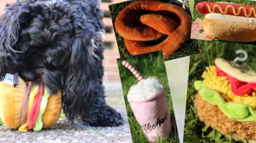 Hundespielzeug in Fast-Food-Form