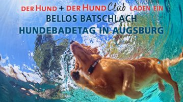 Kommt zum DER HUND Club und Leser-Treffen → Hundebadetag Augsburg