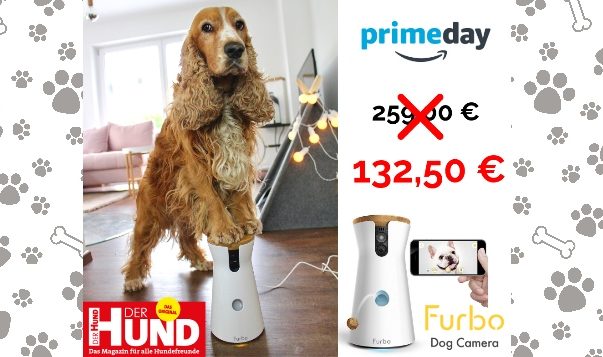 15. Juli: Heute ist Prime Day Prime Day Furbo Angebot