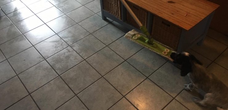 Schwarz-grauer Welpe spielt mit einem Wischmopp auf dem gefliesten Küchenboden.