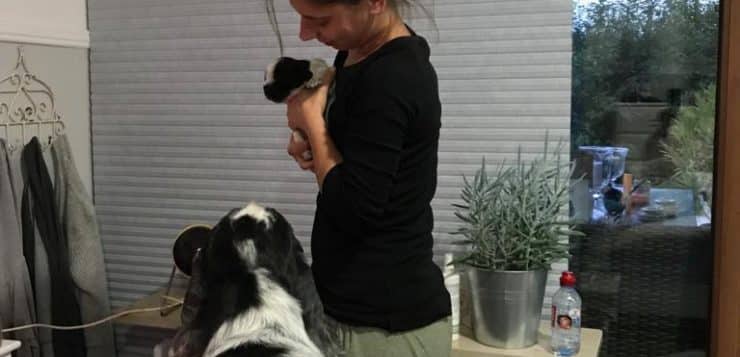 Person hält einen kleinen Welpen auf dem Arm, ein größerer Hund schaut neugierig von unten zu.