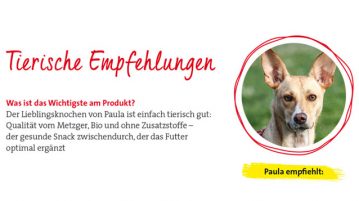 Was Hunde unwiderstehlich finden!