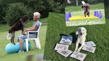 Bodenarbeit, Mobility und Rally Obedience