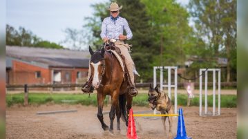 Reiterin mit Pferd und Hund im Parcours