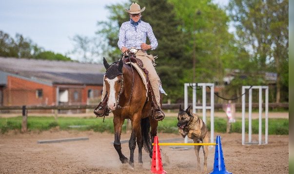 Horse & Dog Trail: Eingeschworenes Trio im Parcours Reiterin mit Pferd und Hund im Parcours