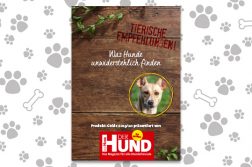 Was Hunde unwiderstehlich finden: Tierische Empfehlungen