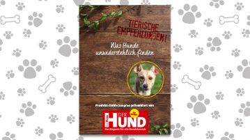 Was Hunde unwiderstehlich finden: Tierische Empfehlungen