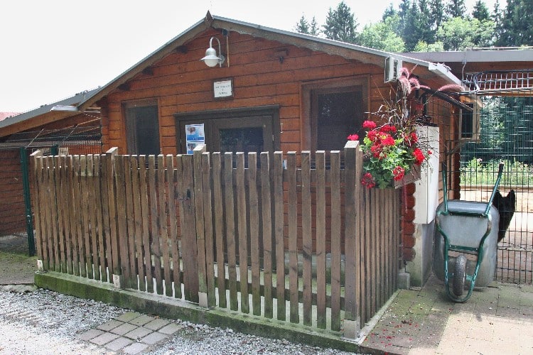 Blockhütte für Hundesenioren auf dem Sonnehof