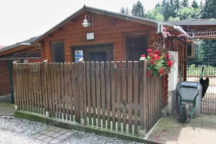 Blockhütte für Hundesenioren auf dem Sonnehof