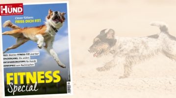 Das Cover des DER HUND Fitness Specials