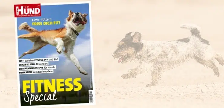 Das Cover des DER HUND Fitness Specials