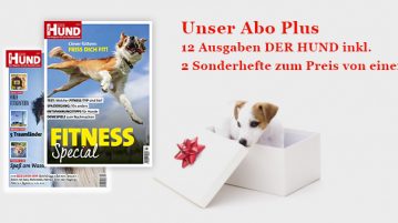 Abo Plus | Jahresabo inkl. 2 Sonderhefte zum Preis von einem