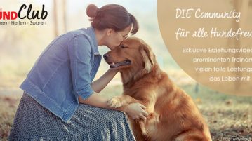 Waunachtsverlosung: 5x Mitgliedschaften im DER HUND Club