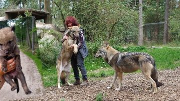 Mit dem Wolf auf Du und Du 🐺: Interview mit Tanja Askani