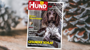 DER HUND Ausgabe 1/20 Cover