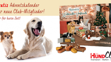 Gratis Adventskalender für neue Club-Mitglieder
