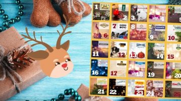 Zeit für Online-Adventskalender: ran an die Türchen! 🐶🎁