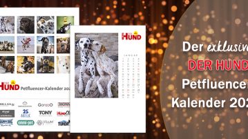 Starte mit voller Petfluencer Power ins neue Jahr!