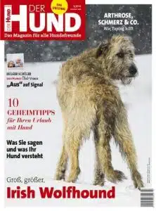 Das Cover von DER HUND 3/20 zeigt einen Irish Wolfhound, der über seinen Rücken in die Kamera schaut.