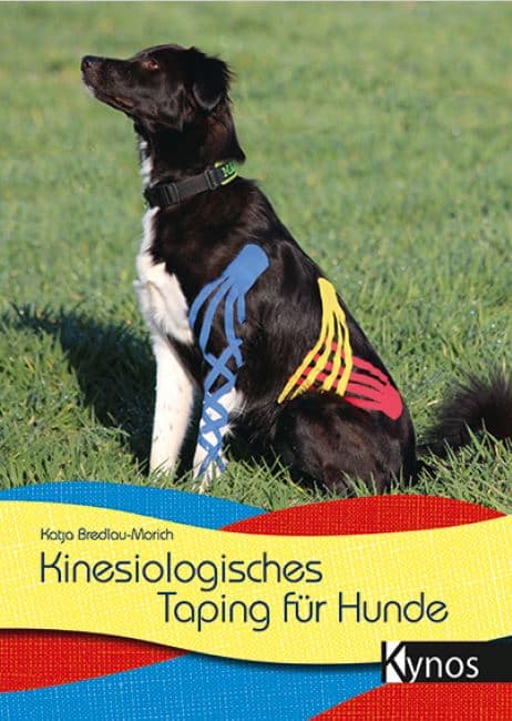 Das Buchcover von 