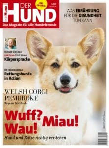 Das Cover der Ausgabe 2/20 von DER HUND ziert ein Corgi