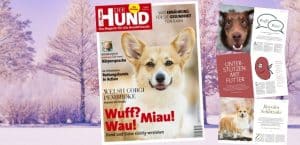 Cover und einige Seiten der Ausgabe 2/20 von DER HUND