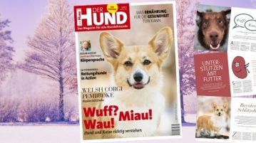Cover und einige Seiten der Ausgabe 2/20 von DER HUND