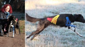 Links: Katja Bredlau-Morich mit Hund, rechts: ein getapter Hund rennt