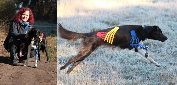 Links: Katja Bredlau-Morich mit Hund, rechts: ein getapter Hund rennt