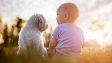 Kleiner Hund und Kleinkind sitzen nebeneinander auf einer Wiese