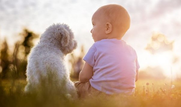 Schützen Hunde vor Schizophrenie? Kleiner Hund und Kleinkind sitzen nebeneinander auf einer Wiese