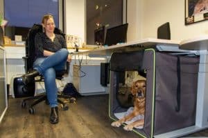 Goldie Watson in seiner "Büro-Höhle"
