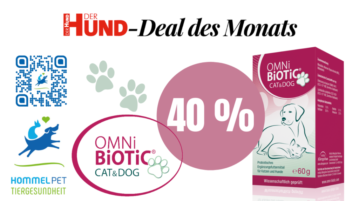 Deal des Monats