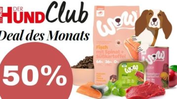 Deal des Monats