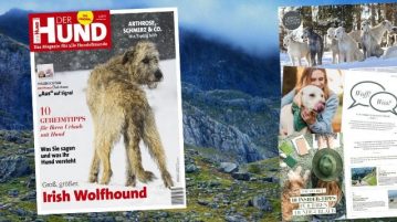 Das Cover der Ausgabe 3/20 von DER HUND