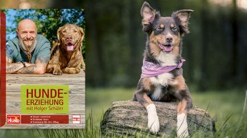 Wir verlosen 5x Bücher „Hundeerziehung mit Holger Schüler“