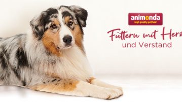 Osterverlosung 2020: Futterpaket von animonda Osterschnüffeln 2020 Animonda