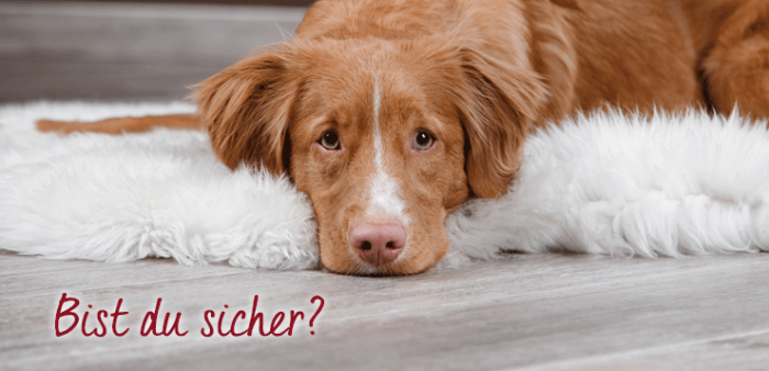 EMail Adresse abmelden » DER HUND