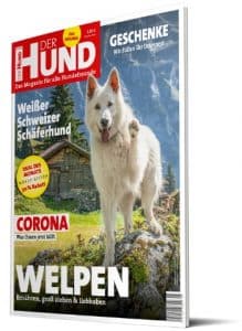 Das Cover von DER HUND 5/20 zeigt einen Weißen Schweizer Schäferhund, der seine Pfote zur Kamera streckt