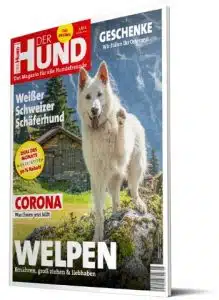 Das Cover von DER HUND 5/20 zeigt einen Weißen Schweizer Schäferhund, der seine Pfote zur Kamera streckt