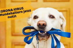Corona Special – Was Hundehaltern nutzt