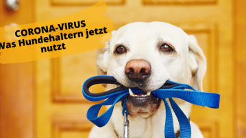 Corona Special – Was Hundehaltern nutzt