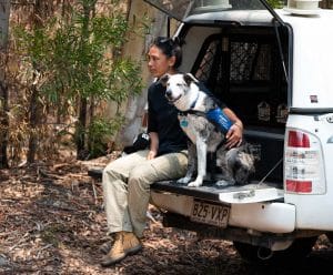 Hund und Halterin im Auto vor Koalarettungs-Einsatz