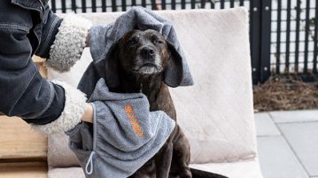 Osterverlosung 2020: Siccaro EasyDryDog Towel Osterverlosung 2020 Siccaro