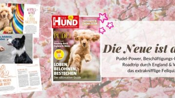 DER HUND 06/20: Jetzt lesen 💙