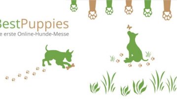 Zwei grüne Grafiken spielender Hunde