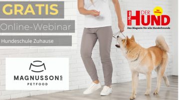 Webinare bei DER HUND