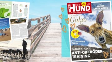 Ausgabe 07/20 von DER HUND